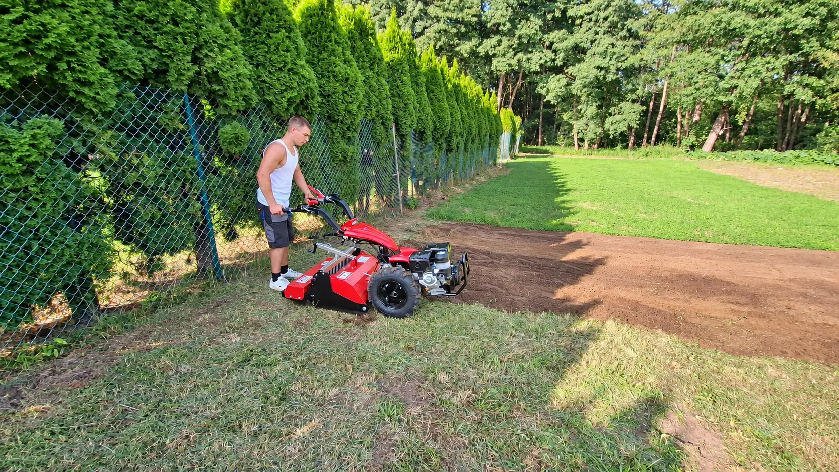 Przygotowanie gleby glebogryzarką separacyjną wzdłuż szpaleru tui, działka pod Poznaniem